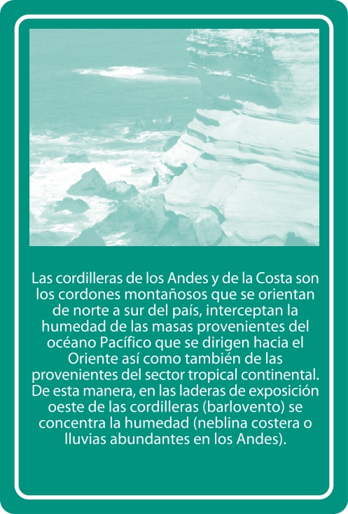Portada Reverso